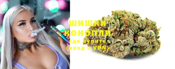 стаф Медвежьегорск