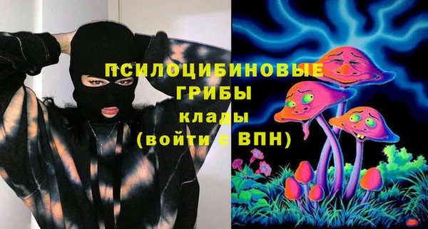 марки lsd Гусиноозёрск