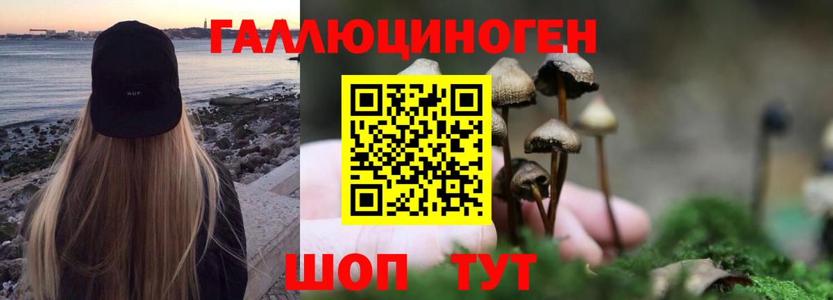 Галлюциногенные грибы Magic Shrooms  магазин продажи   Губкин  Псилоцибиновые грибы Psilocybe 